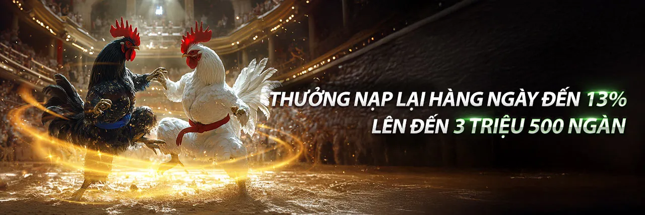 Đá Gà BJ Trực Tuyến Hấp Dẫn